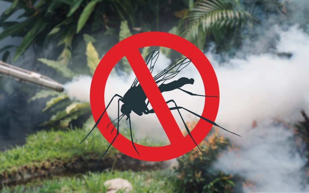  Indul a katasztrófavédelem által koordinált szúnyoggyérítés