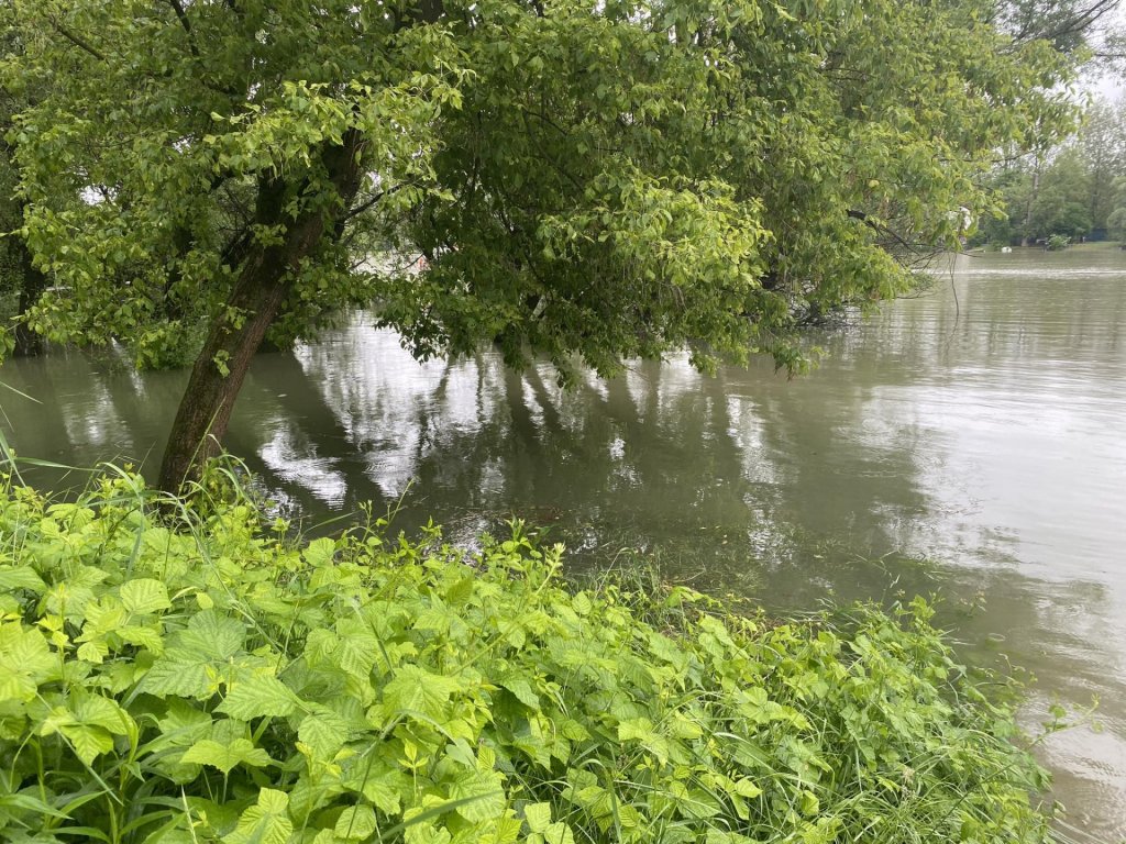 Víz alá került a nemzetközi kerékpárút budakalászi szakasza