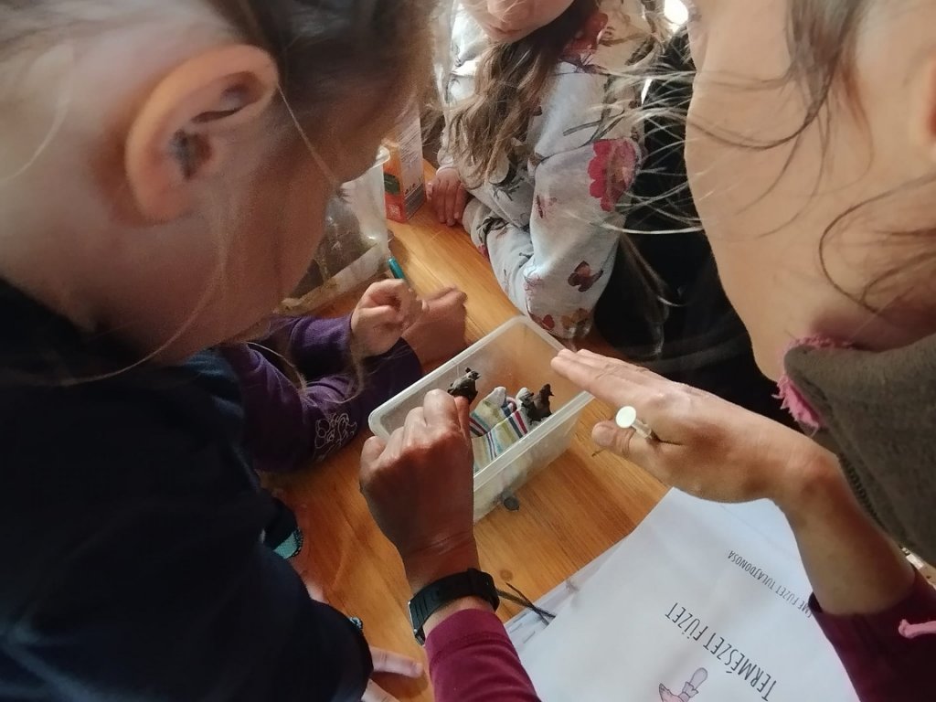 Nyári tábor a Szentendrei Kisállatkertben