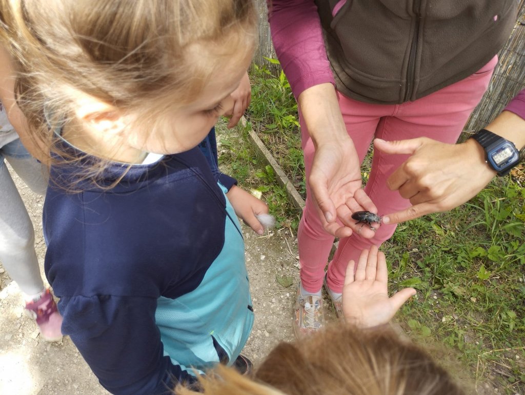 Nyári tábor a Szentendrei Kisállatkertben
