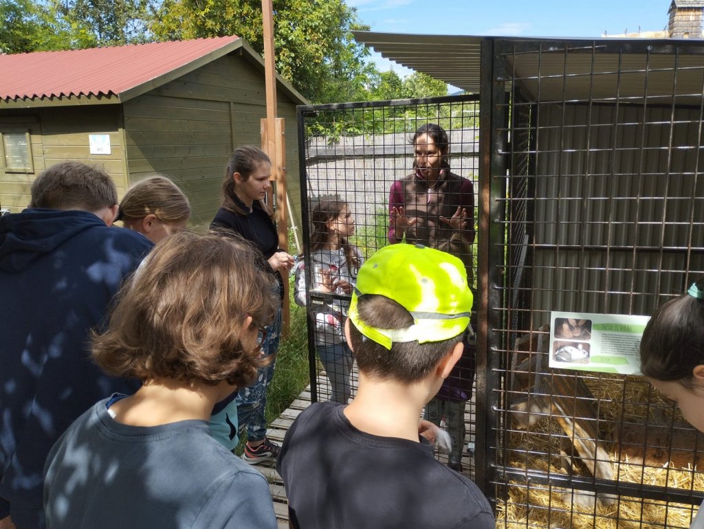 Nyári tábor a Szentendrei Kisállatkertben