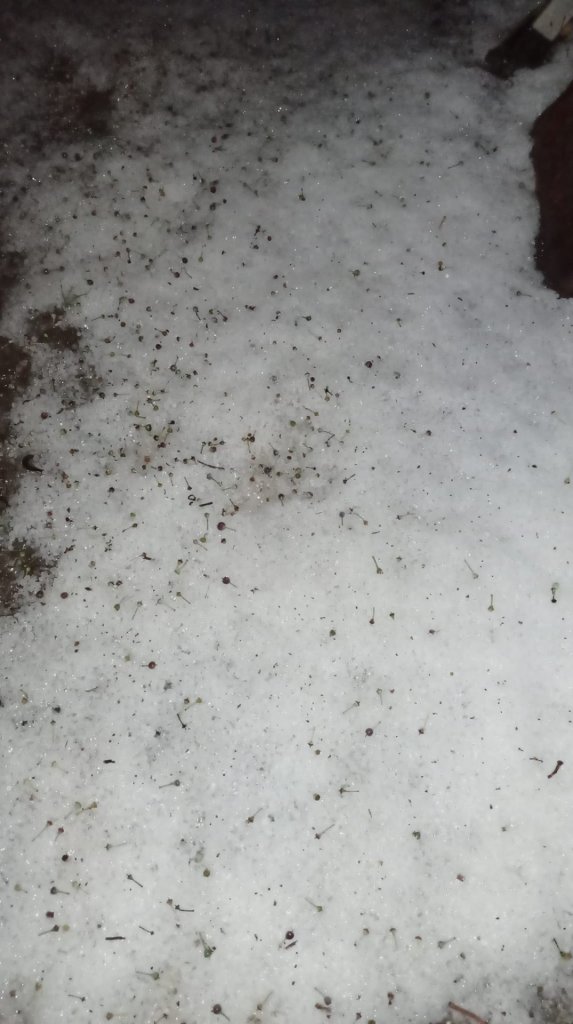 Jégeső volt éjjel Pomázon