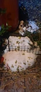 Jégeső volt éjjel Pomázon