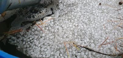 Jégeső volt éjjel Pomázon