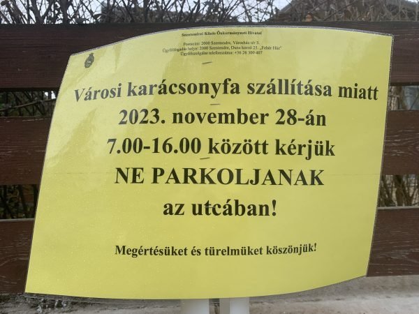 Úton Szentendre karácsonyfája