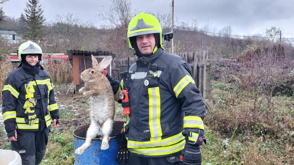 Nyulakat mentettek a tűzoltók