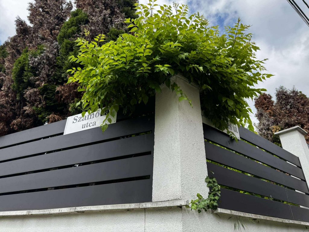 Csőtörés a Cseresznyés úton