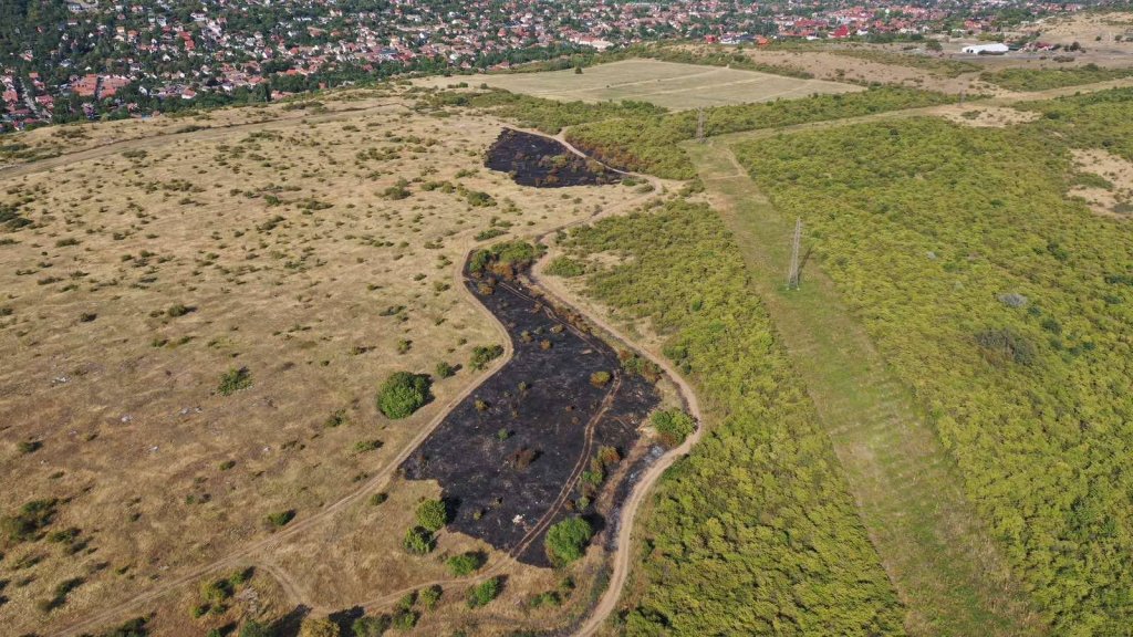 11 járművel, 45 tűzoltó oltotta tegnap a bozóttüzet Pomázon