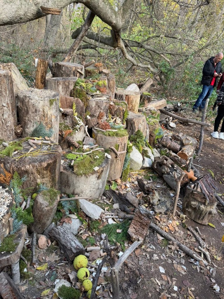 Szétverték Manófalvát – eltűnt a budakalászi erdő mesés világa