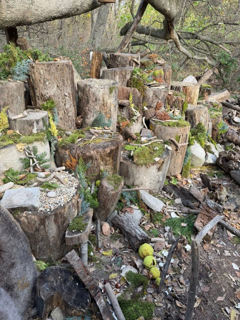 Szétverték Manófalvát – eltűnt a budakalászi erdő mesés világa