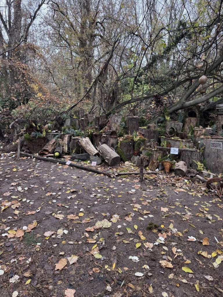 Újjáéledhet a varázs: új otthont keres Manófalva