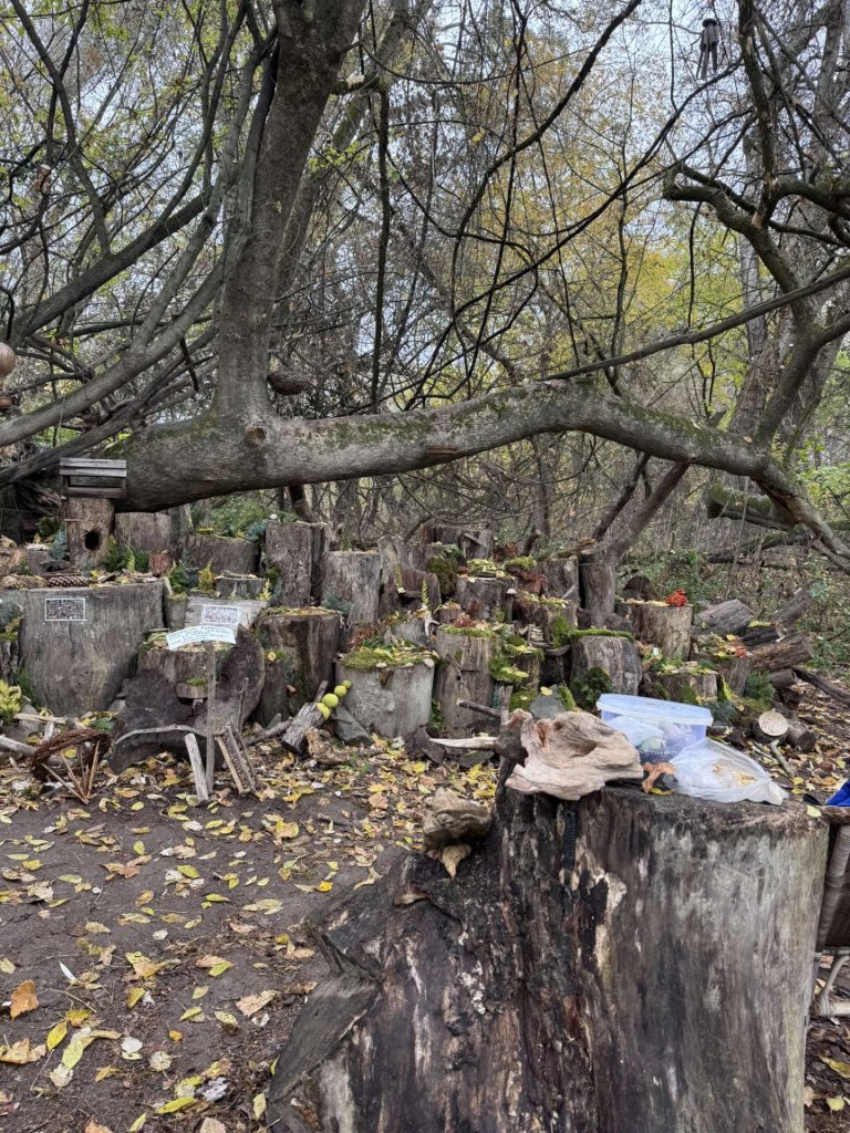 Újjáéledhet a varázs: új otthont keres Manófalva