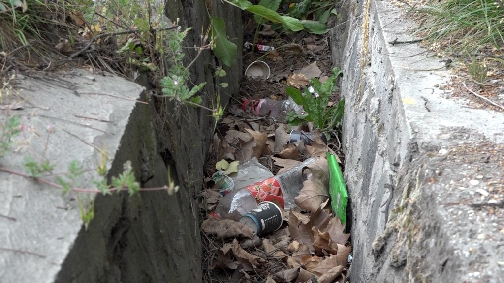 Szemétgyűjtés a Vasúti Villasoron 