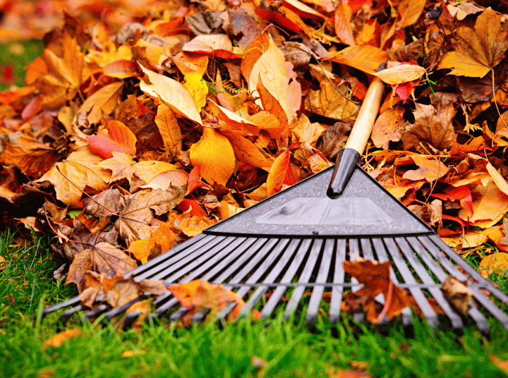 Kerti zöld- és veszélyes hulladék begyűjtés!