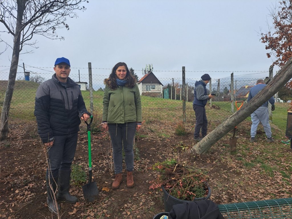 Újjáéledt a Kopjafás park: helyreállították a megrongált növényzetet