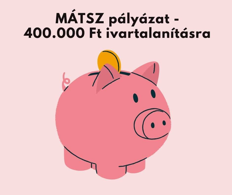 400 ezer forintos támogatás segíti a szentendrei menhely ivartalanítási programját