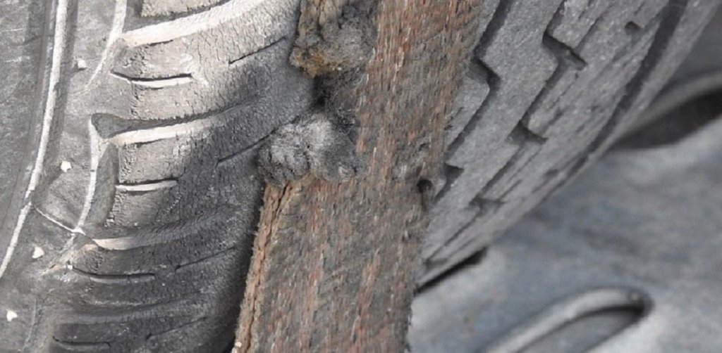 TÚLSÚLYOS JÁRMŰSZERELVÉNYEK PEST MEGYÉBEN