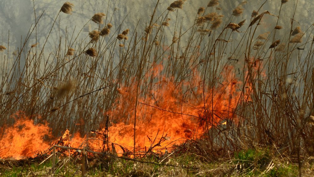  A nagy hőségben több a mezőgazdaságot érintő tűz