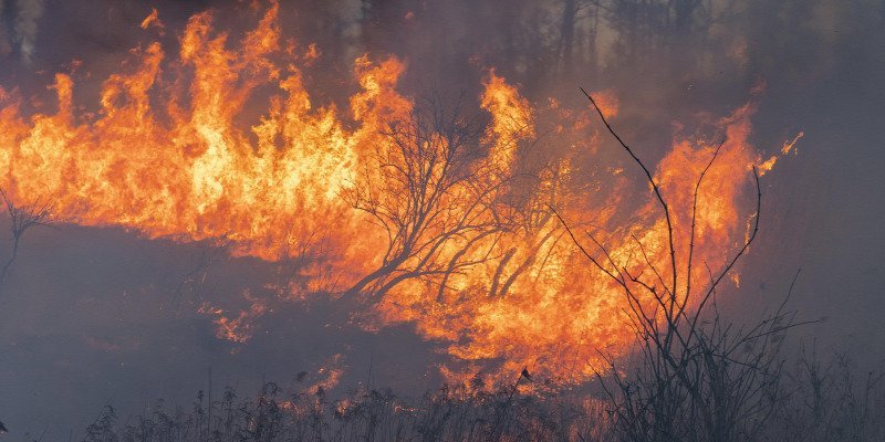  5600 szabadtéri tűz volt eddig, egy tragikus véget ért