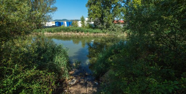 Pannónia-tó és környéke: partnerségi egyeztetés, lakossági fórum augusztus 26-án