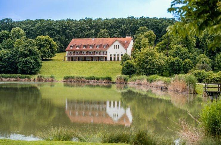 Megkezdődhetnek a Visegrád–Pap-rét közötti erdei út felújítási munkálatai