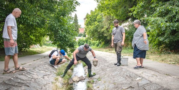 Bemutatják a Bükkös-patak revitalizációs terveit a Városházán