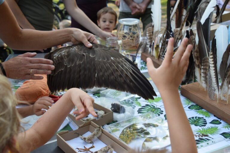 Madarak és fák napjához kapcsolódó programok a Mentáskertben