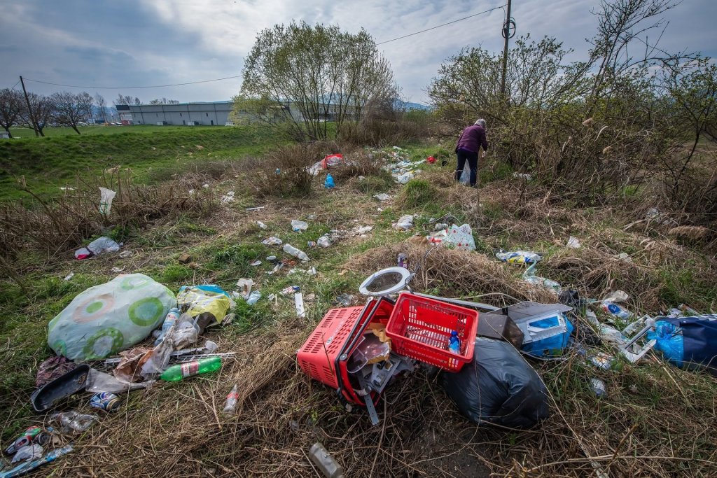 Megtisztítják a Dera-patak környékét