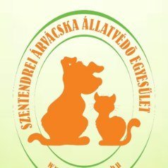 Jó hírek az Árvácska Állatvédő Egyesülettel kapcsolatban