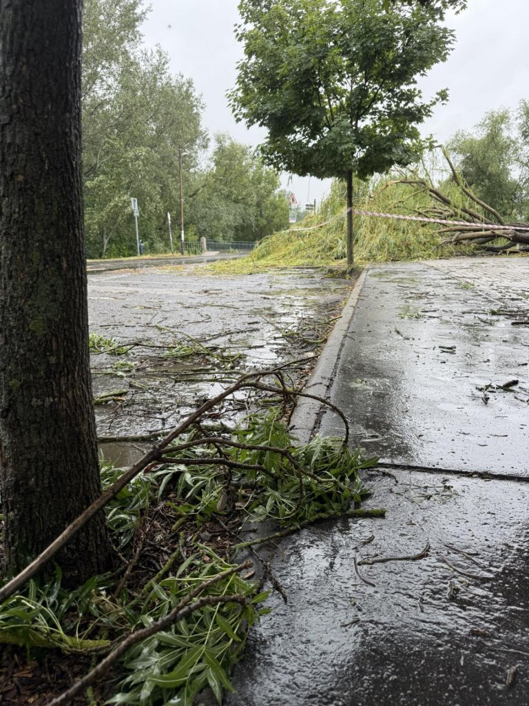 Napi korlát nélkül leadható a zöldhulladék a hulladékudvarban 
