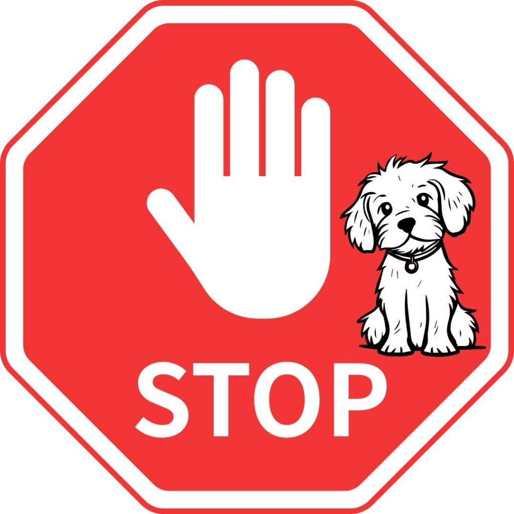 Ideiglenesen zárva a kutyák számára: kennelköhögés-járvány a Szentendrei Árvácska menhelyen