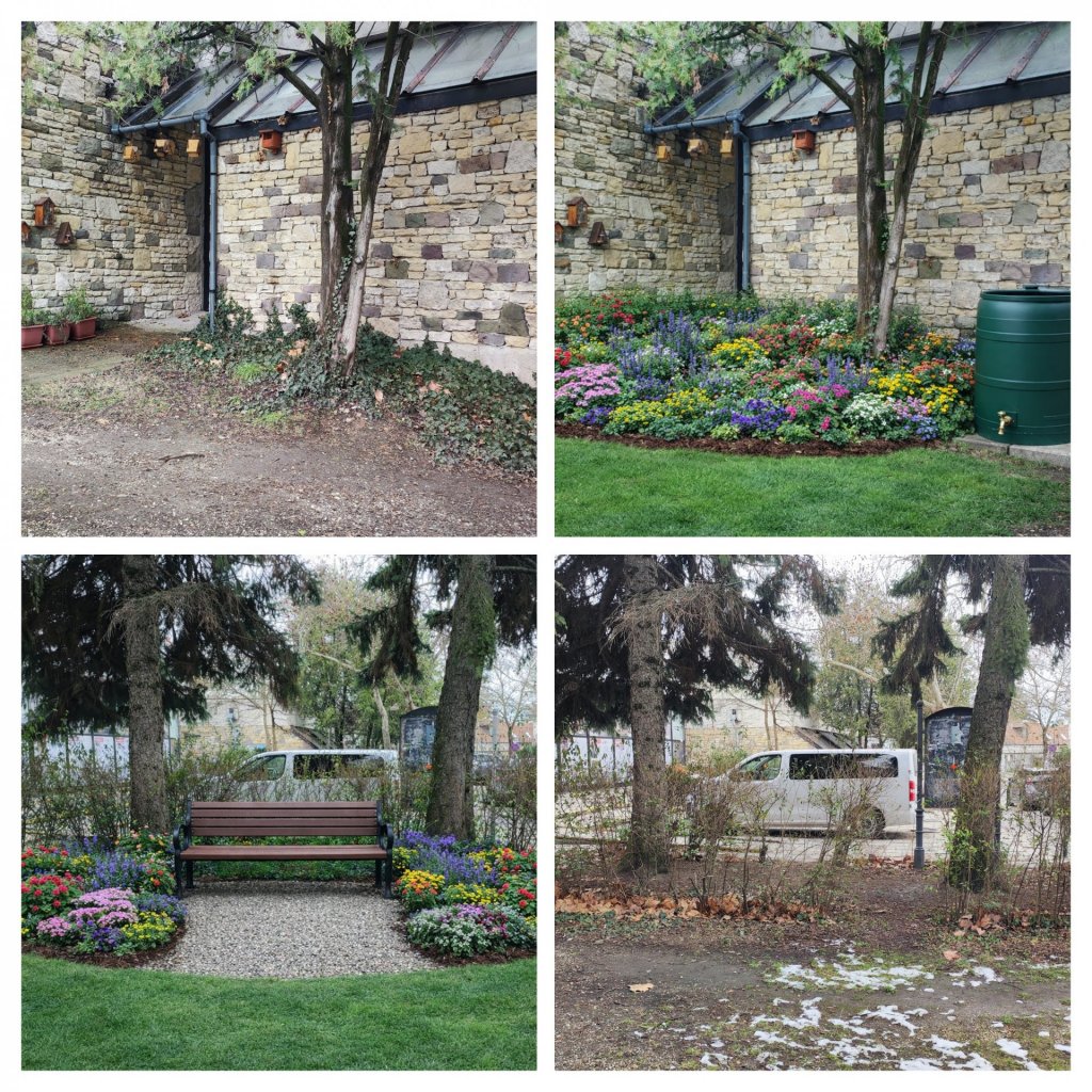 Támogatást kapott a könyvtár parkjának zöldítése