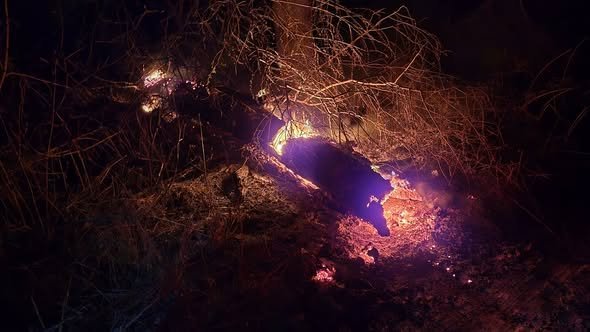 Gyors beavatkozás akadályozta meg a nagyobb tüzet Budakalászon