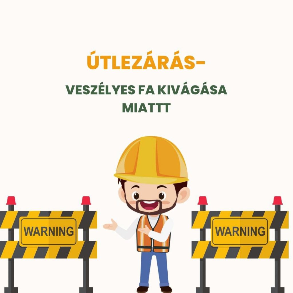 Fa dőlt az elektromos vezetékekre – Teljes útlezárás lesz a János utcában