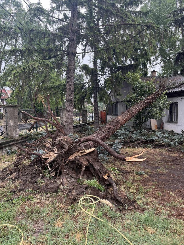 Mikor lesz végre áram? II. – Faágak, veszélyhelyzetek és zöldhulladék-szállítás Budakalászon