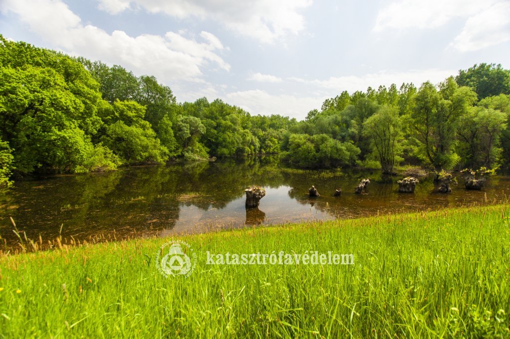 Folytatódik a szúnyoggyérítés a Duna mentén