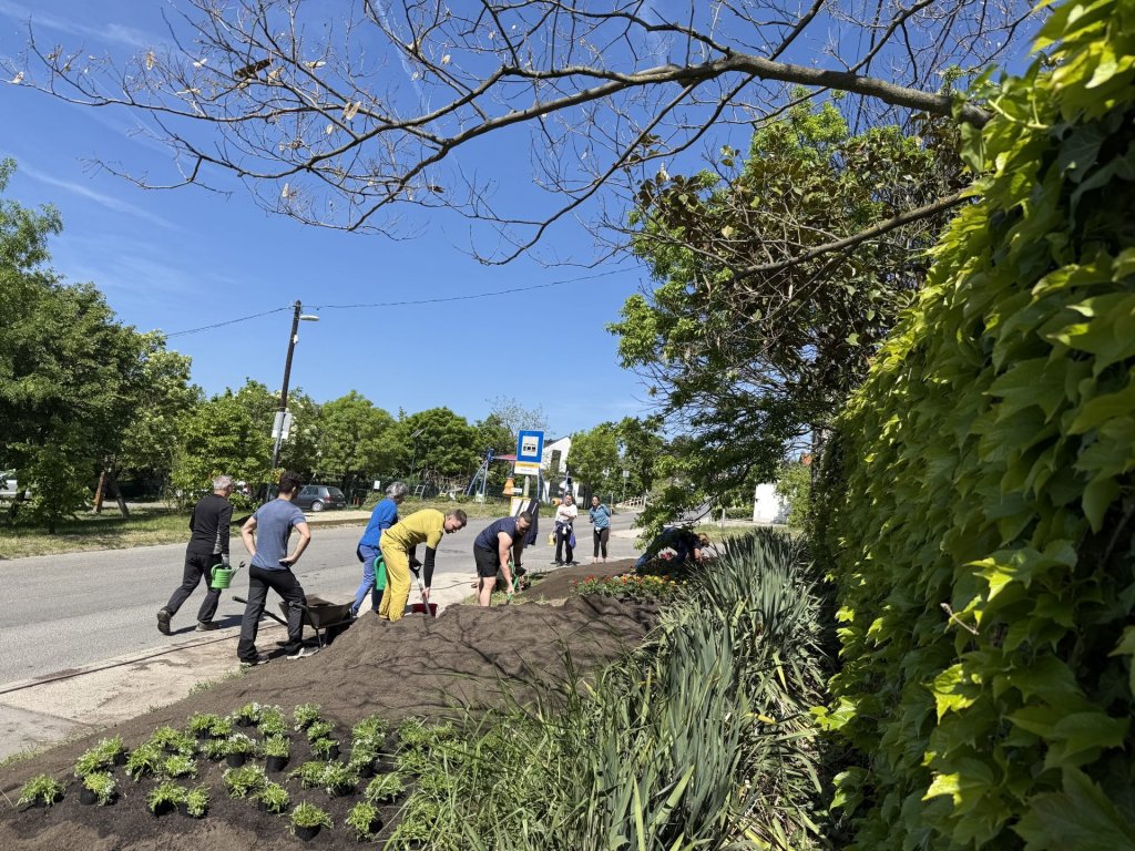 Föld napi összefogás Szentendrén – több száz növény és tisztább közterületek