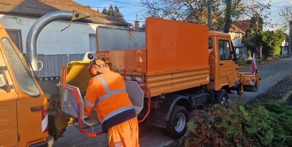 Ingyenes ágdarálási program