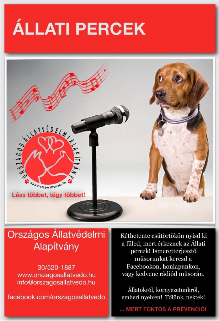 Állati percek - Karácsonyi asztal