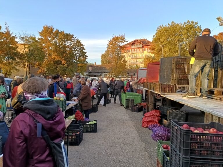 Szabolcsi termelők kedvező árú zöldségei a Faluház udvarán