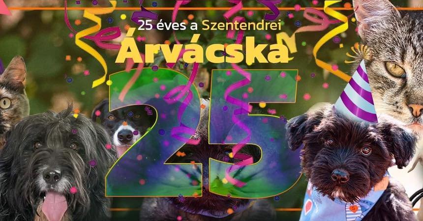 25 éves a Szentendrei Árvácska