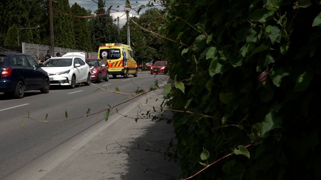 77 éves asszonyt gázolt el egy személyautó a Római Sánc utcában