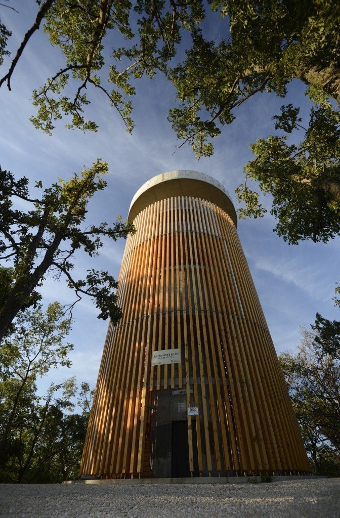 Pálos utak a Pilisi Parkerdőben