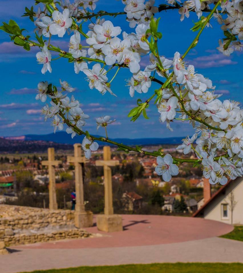 Új főépítész Budakalászon
