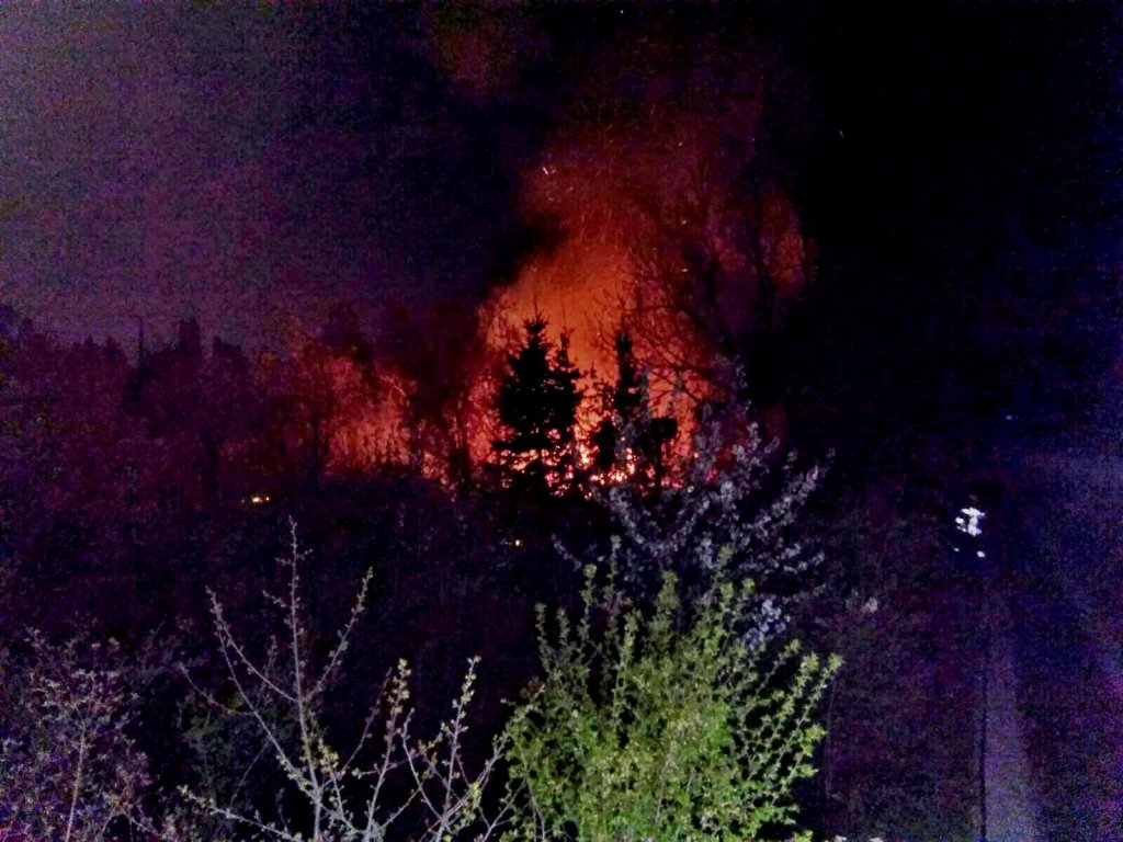 Kigyulladt egy melléképület szerdán éjszaka Budakalászon