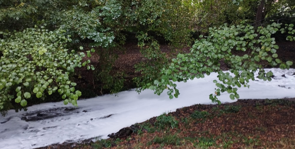 Miért habzik a Bükkös? – vízminőségi vizsgálatot rendelt meg az önkormányzat