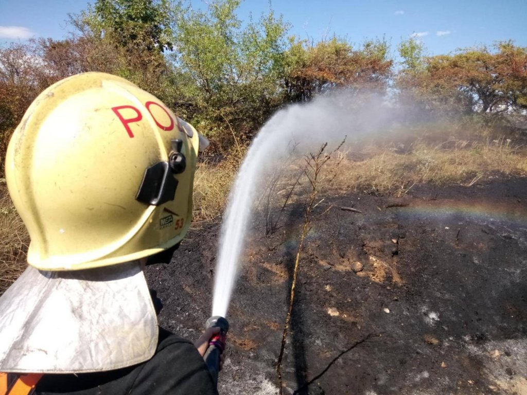 11 járművel, 45 tűzoltó oltotta tegnap a bozóttüzet Pomázon