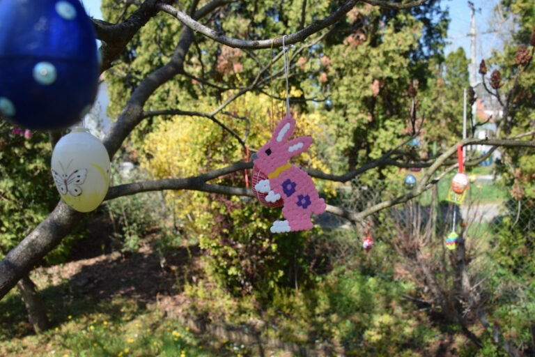 Szentistvántelepi közösségi tojásfa