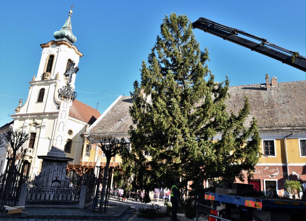 Szerencsésen megérkezett a Fő térre a karácsonyfa