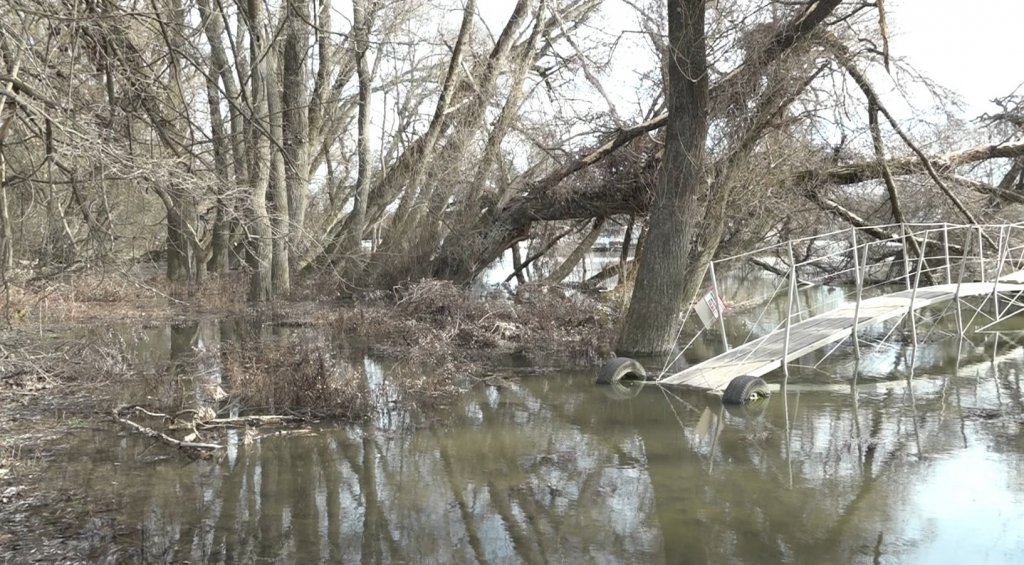 Magasabb a Duna vízszintje Budakalásznál
